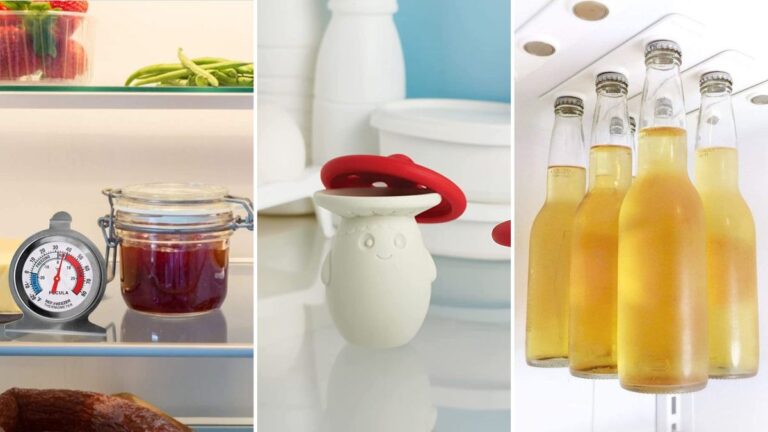 8 Easy Refrigerator Upgrades – LifeSavvy